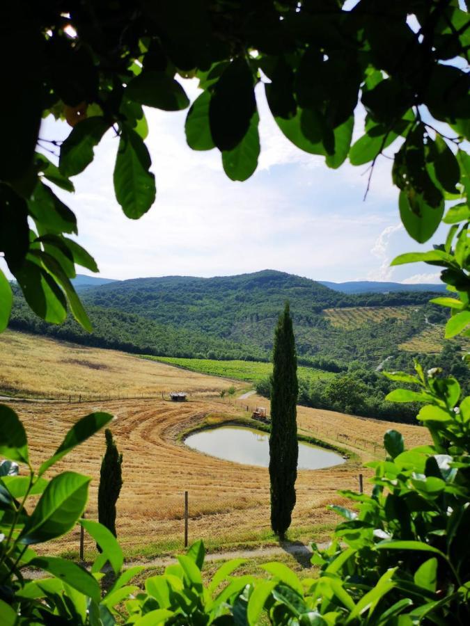 Agriturismo Selvella Allerona Bagian luar foto
