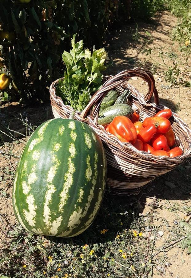 Agriturismo Selvella Allerona Bagian luar foto