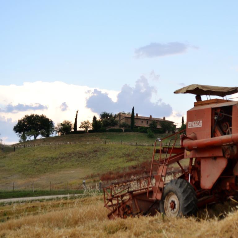 Agriturismo Selvella Allerona Bagian luar foto